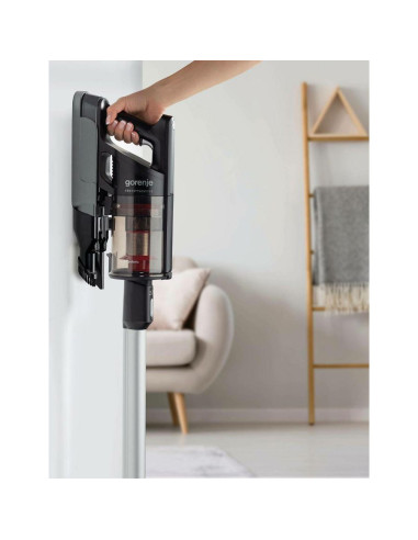 Usisavač Gorenje SVC252FMBK