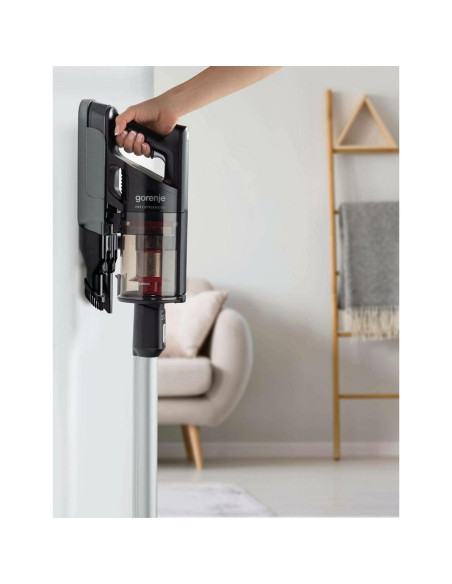 Usisavač Gorenje SVC252FMBK