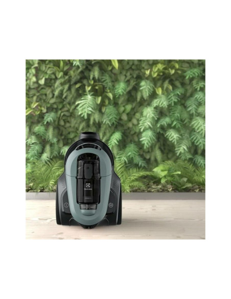 Usisavač Electrolux EL61C2OG
