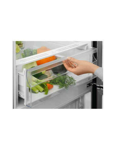 Hladnjak Electrolux LNT5ME36U1