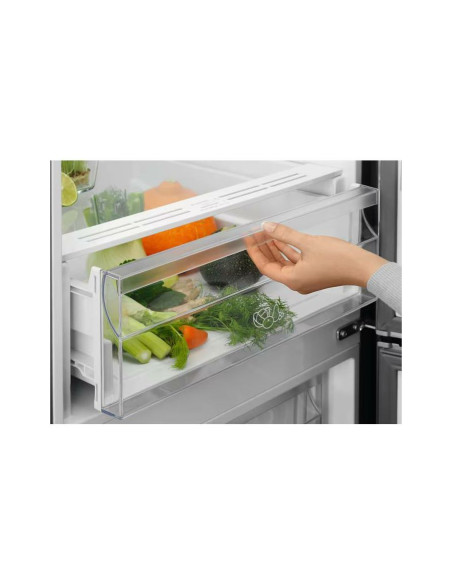 Hladnjak Electrolux LNT5ME36U1