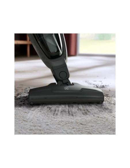 Usisavač Electrolux ES31CB18GG