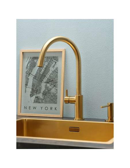 Slavina Reginox Levisa VT Gold Flax