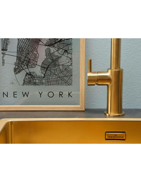 Slavina Reginox Levisa VT Gold Flax